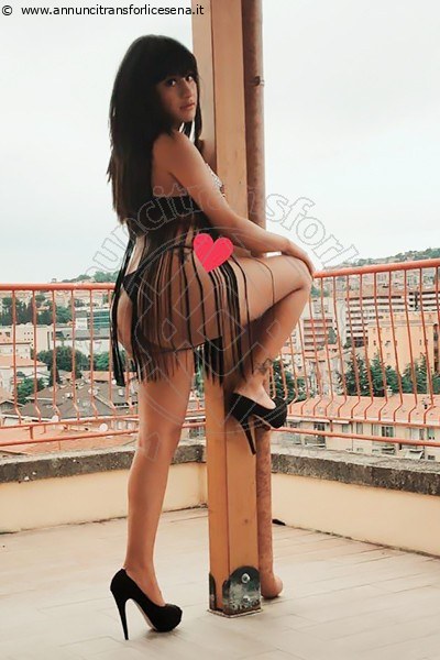 Foto Transescort Vicenza Nicole